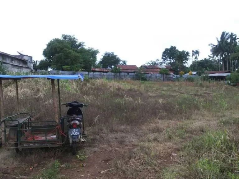 ที่ดิน 1ไร่ ด่าเจดีย์สามองค์ สังขละบุรี