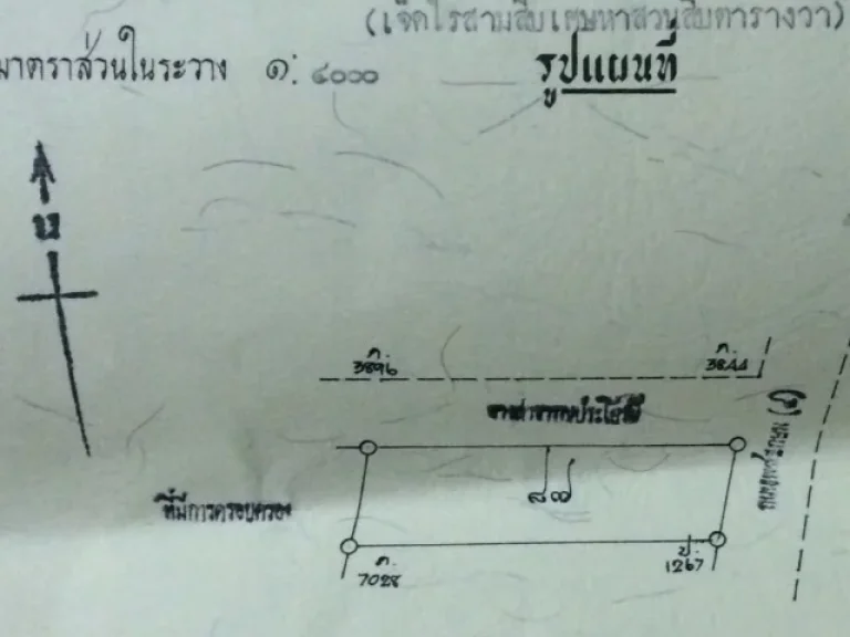 ขายด่วนที่ดินแปลงสวย จังหวัดระนอง อำเภอเมืองระนอง ตำบลราชกรูด