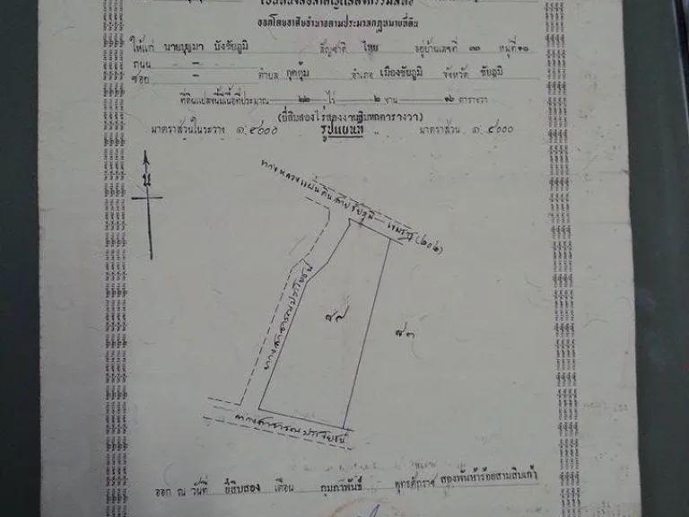 ขายที่ดินติดถนนหลวง เส้นชัยภูมิบัวใหญ่