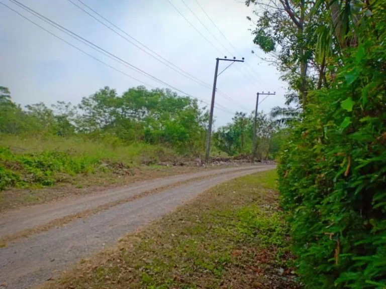 ขายที่ดินในโรคงการสวนสายธาร คลองสาม คลองหลวงปทุม