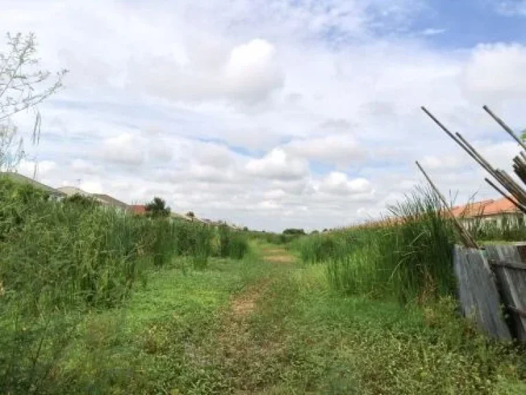 ที่ดิน ถนนทางหลวงปทุมธานี ห่างถนน 500 เมตร คลองสี่่