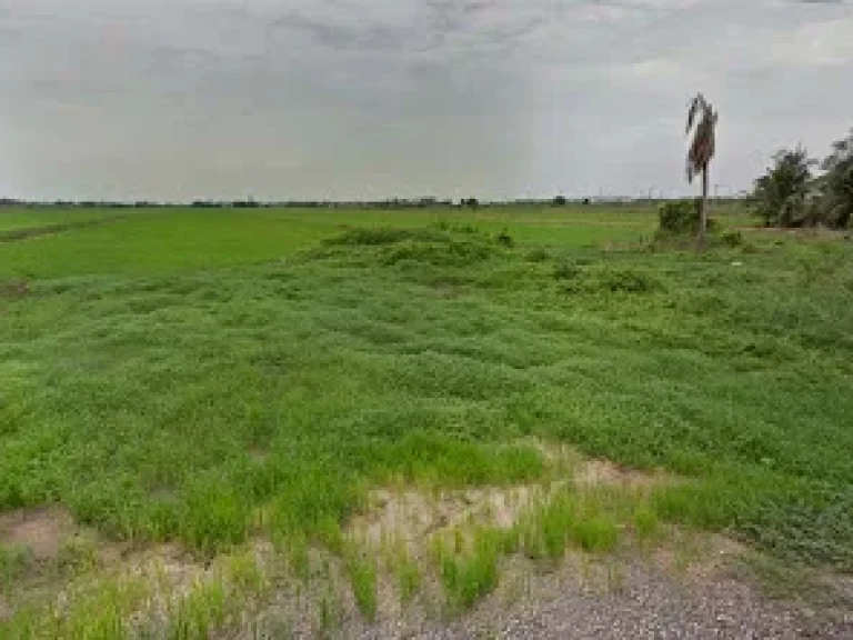 ขายที่ดินถนนสุขุมวิท พัทยา