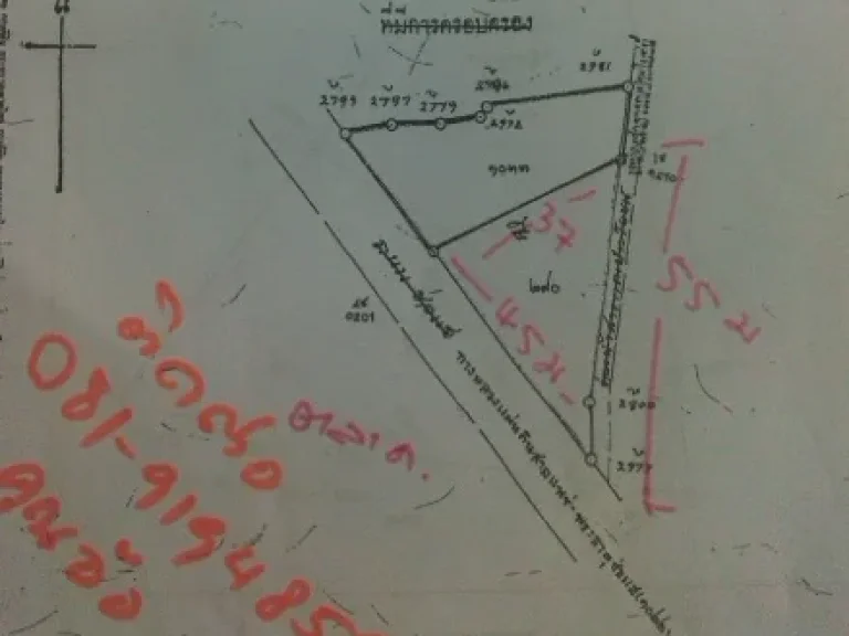 ขายที่ดินติดถนนป่าแดง-ช่อแฮ