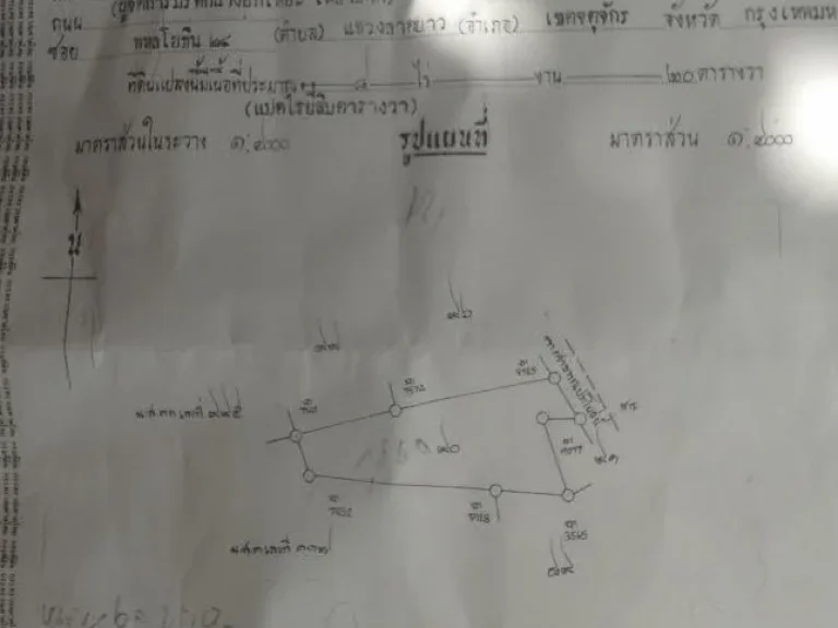 ขายสวนปาล์มโฉนด 8 ไร่ ใกล้เทศบาลตำบลบางหมาก