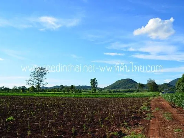 ขายที่ดิน 24 ไร่เศษ ตประดู่งาม อศรีเทพ จเพชรบูรณ์ รหัส 1908