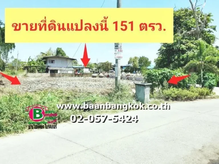 ขาย ที่ดินบ้าน เนื้อที่ 151 ตรว ถมแล้ว ซอยเทศบาล 113 ตำบลบางรักใหญ่ อำเภอบางบัวทอง นนทบุรี