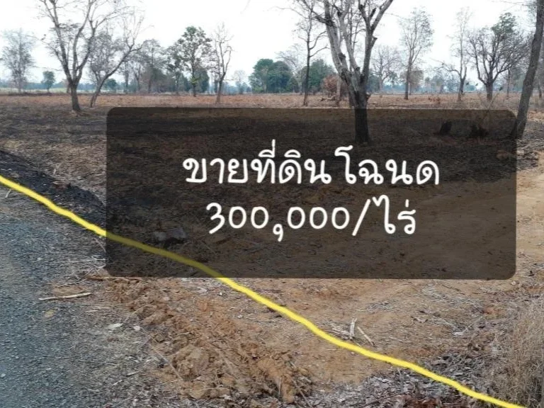 ขายที่ดินโฉนด 300000ไร่ หน้ากว้างติดถนน 150 เมตร