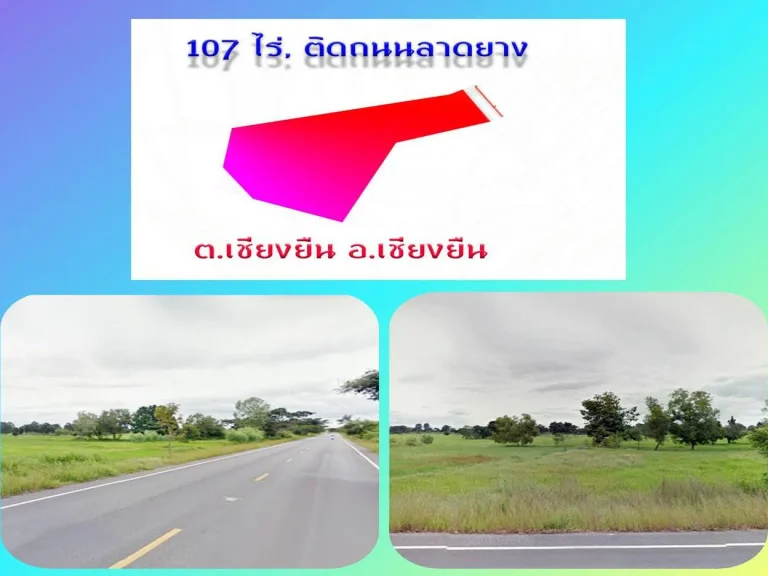  ขายที่ดินแปลงสวย 107 ไร่ ติดถนนดำ เชียงยืน มหาสารคาม