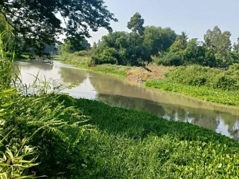 ที่ดินโฉนด 3ไร่ ติดแม่น้ำท่าจีน