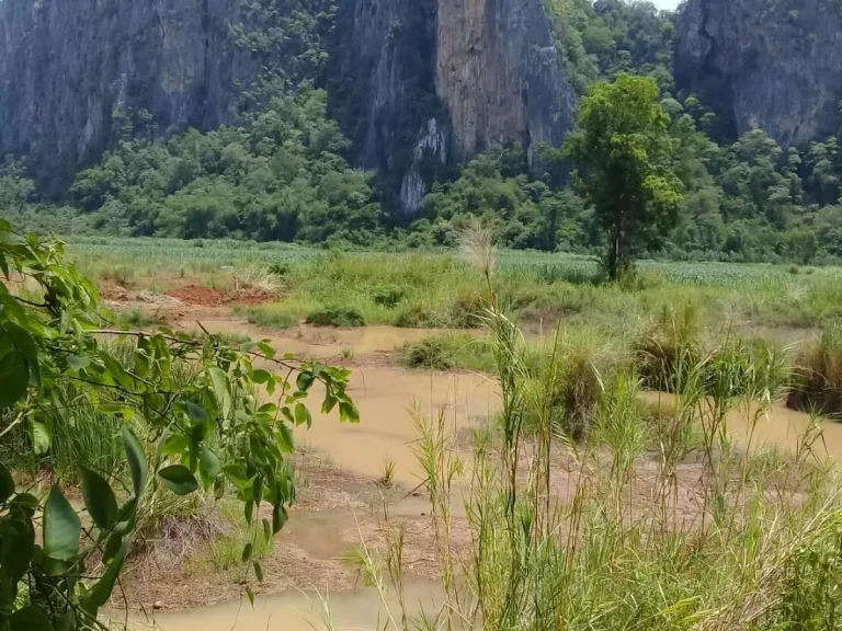 ที่ดินโฉนด 10ไร่ ติดลำห้วยวิวเขาหุบป่าตาด