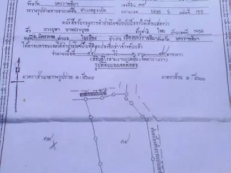 ขายที่ดิน 45ไร่ ติดถนนสาย 304 ติดศูนย์โตโยต้า ปักธงชัย