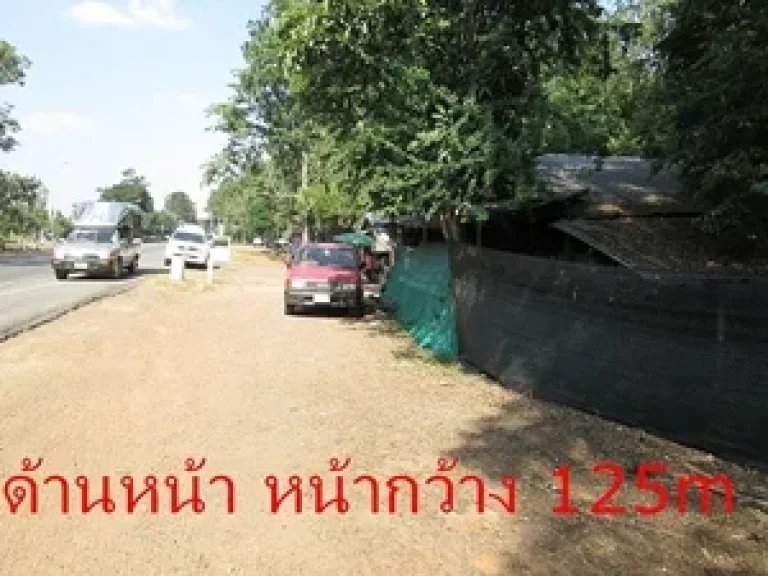 ที่ดินวังน้ำเขียว 25ไร่