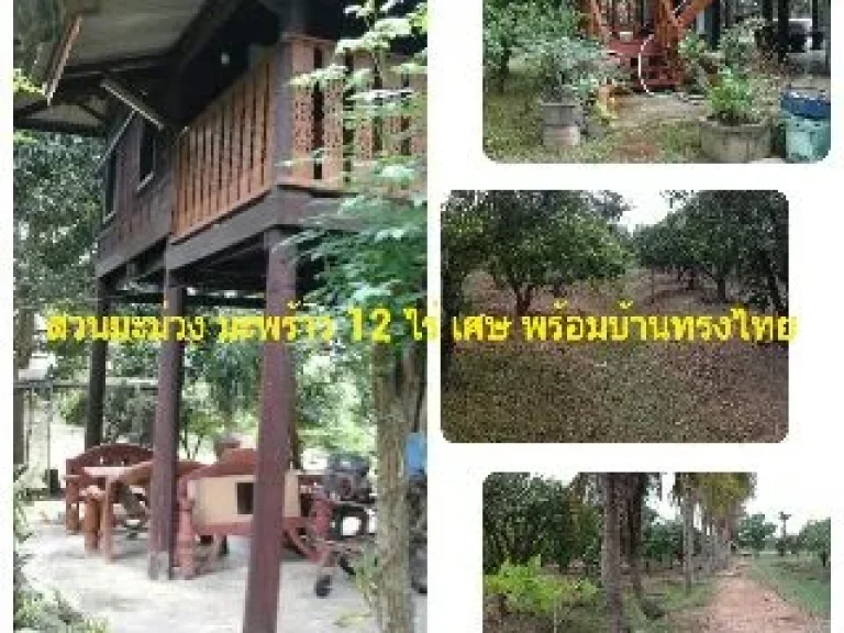 ขายสวนมะม่วงและมะพร้าว 12ไร่เศษ พร้อมบ้านทรงไทย