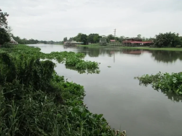 ขายที่ดิน ติดริมแม่น้ำท่าจีนเขตบ้านไทยาวาส ด้านหน้าติดแม่น้ำท่าจีน ด้านหลังติดถนนสาธารณะ ที่ดินได้สร้างเขื่อนกันน้ำเซาะแล้ว เนื้อที่ 4-0-12 ไร่ ขายราคาไร่ละ 65 ล้านบาท พร้อมโอน