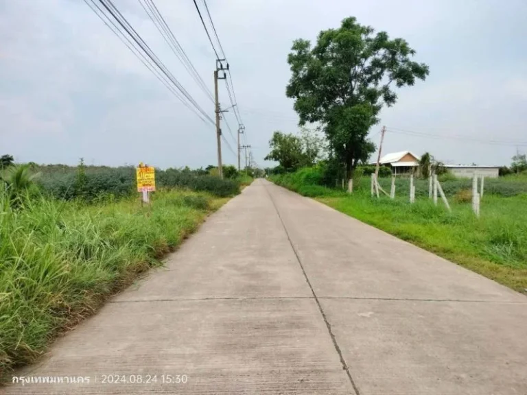 ขายที่ดินคลอง 12 หนองจอก 1 ไร่ ติดถนนคอนกรีตสาธารณะ