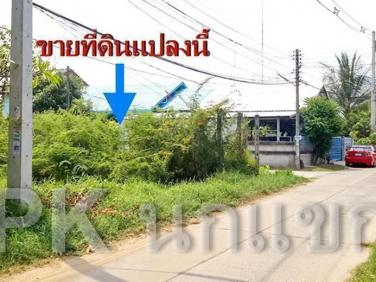 PK ที่ดินเหมาะสร้างบ้าน ถชยางกูร 42 อเมือง จอุบลราชธานี