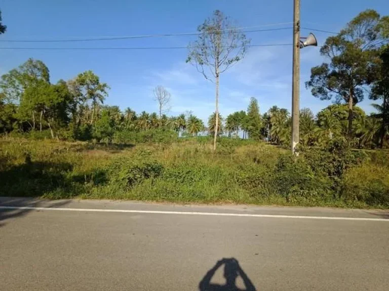 ขายที่ดินสวยๆ ที่ชุมพร ติดถนนใหญ่และชายหาดส่วนตัว 9 ไร่ โฉนด มีระบบน้ำประปาและระบบไฟฟ้า063 4211 269