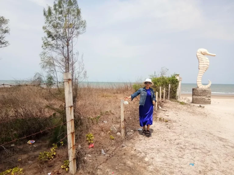 ขายทีดินติดริมทะเล จังหวัดเพชรบุรี