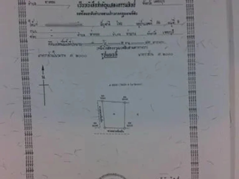 ขายด่วนที่ดินท่ายางใกล้แหล่งความเจริญราคาถูกมากๆ