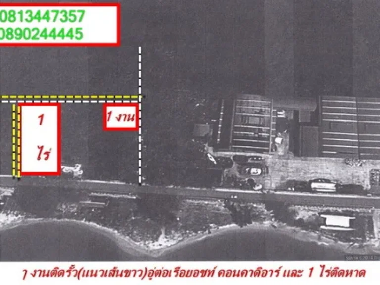 ขายที่ดินชายทะเล 100ตารางวา และ1ไร่พิ้นที่ชิดกันติดทะเลหาดสุชาดา ระยอง