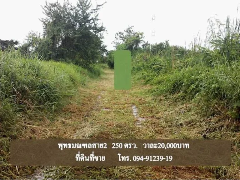 ที่ดินพทธมณฑลสาย2 250ตรว วาละ20000