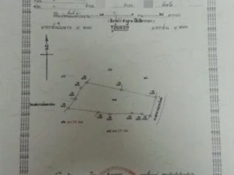 ขายที่ดินพร้อมสวนปาล์ม 17 ไร่ ตคลองพน อคลองท่อม จกระบี่