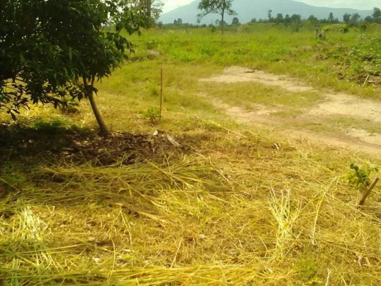 ขายที่ดินทำบ้านสวน ใกล้ศูนย์ราชการ