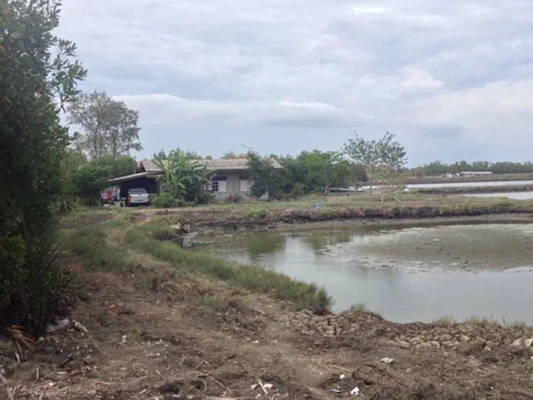 พันท้ายนรสิงห์สถานที่ท่องเที่ยว