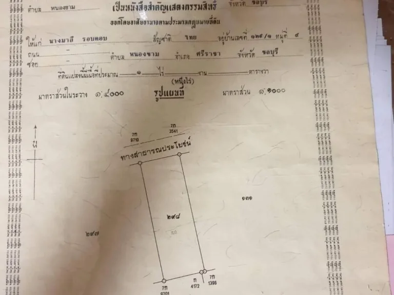 ขายที่ดินติดถนนคอนกรีต 1ไร่ สุรศักดิ์