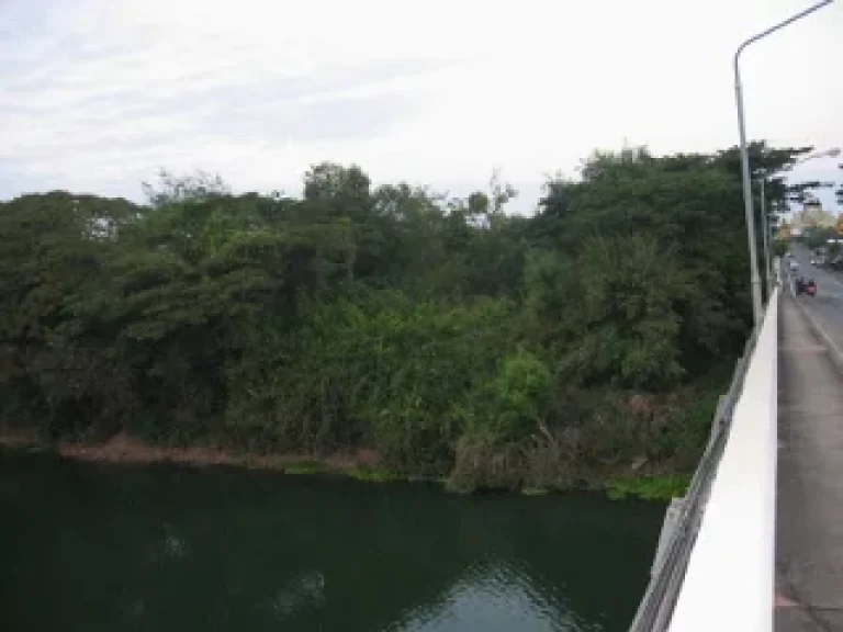 ขายที่ดินสวย ติดแม่น้ำมูล ติดสะพานแก่งสะพือ อพิบูลมังสาหาร จอุบลราชธานี