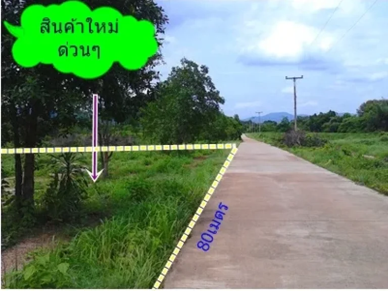 ที่ดินปราจีนบุรีโฉนด 4-3-53 ไร่ ที่ดินเหลือเนื้อที่จริงประมาณ 4 ไร่ ยกแปลง 1299999 บาท ชุมชน วิวเขาใหญ่ไฟฟ้า ประปา