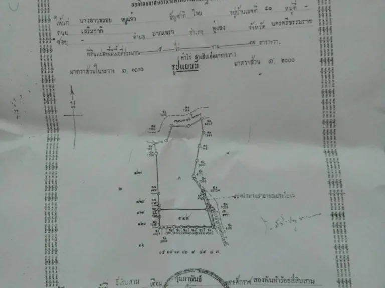 ขายที่ดินในเขตเทศบาลทุ่งสง