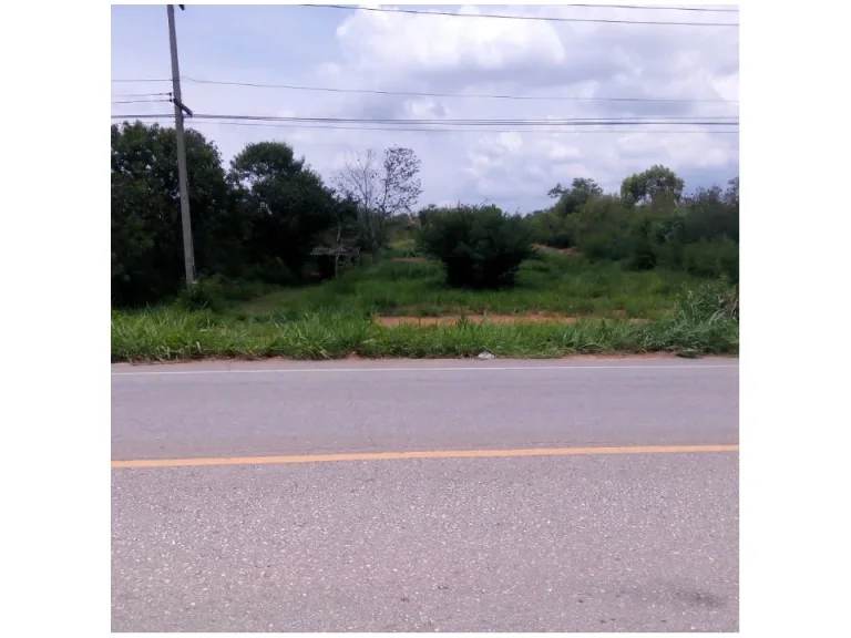 ขายที่ดินบ้านหนองช้างตาย 4ไร่ตำบลหนองสาหร่ายติดถนนเส้นหนองสาหร่ายซับพลู