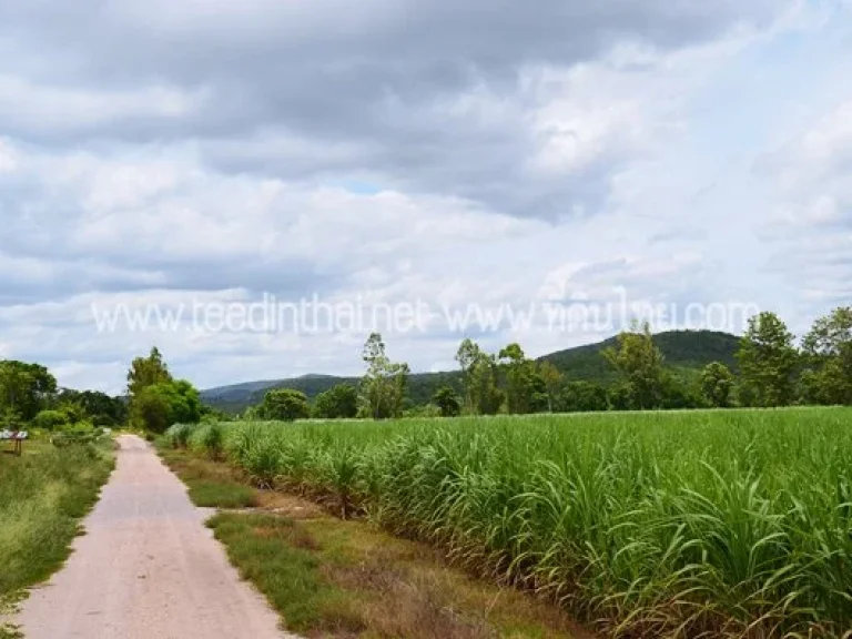 ขายที่ดินสระโบสถ์ - ที่ดินไทย 10 ไร่เศษ โฉนด ตมหาโพธิ อสระโบสถ์ จลพบุรี รหัส1940