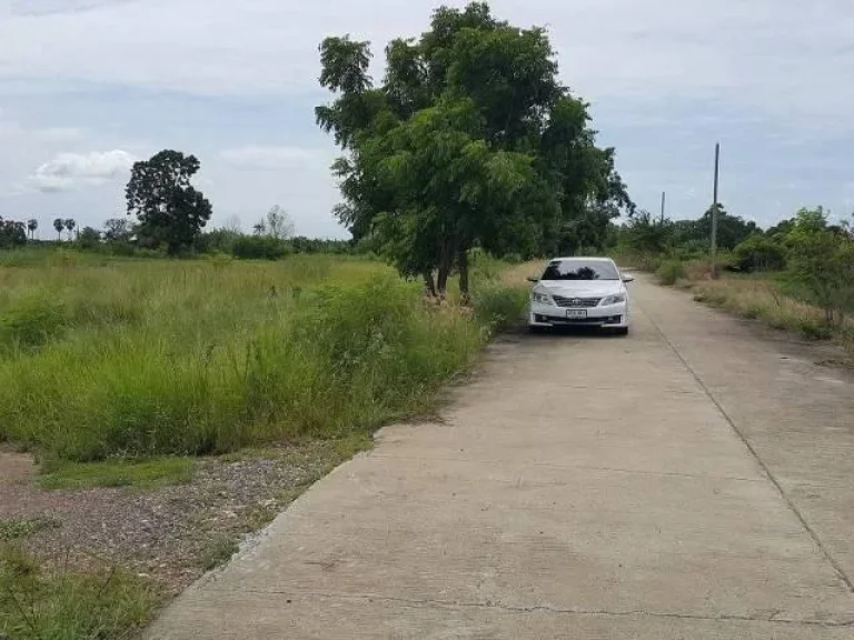 ที่ดินพนัสนิคม ใกล้ถนนศุขประยูร