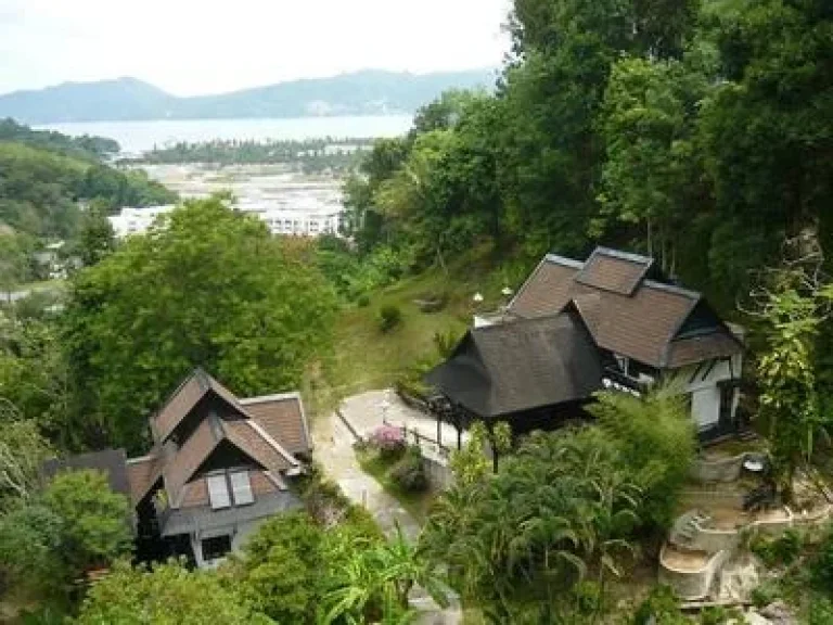 LAND VILLA - For Sale overlooking Patong Bay 25 m Bhat