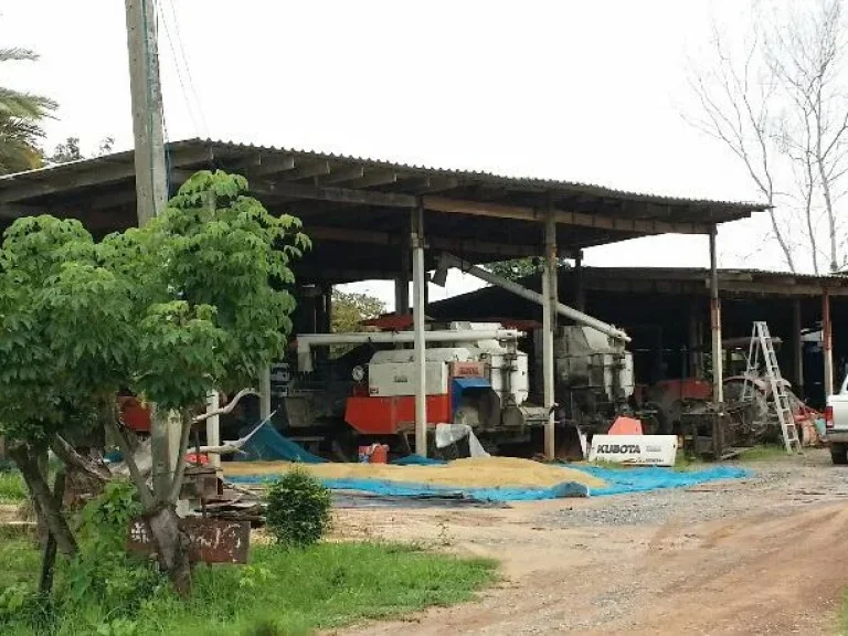 ขายบ้านพร้อมที่ดินติดถนนลาดยางบ้านป่าแดงตำบลหัวรอ