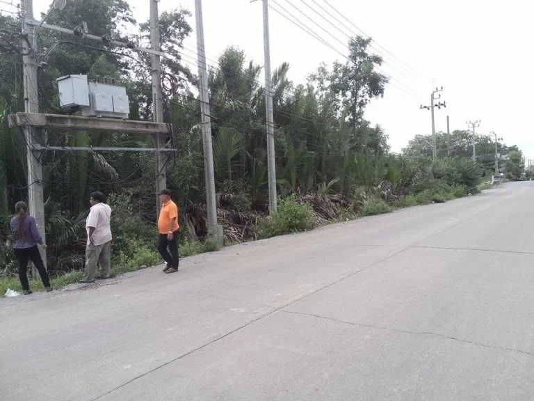 ที่ดิน 2 ไร่ ติด ถนนประชาอุทิศราคาถูกมาก