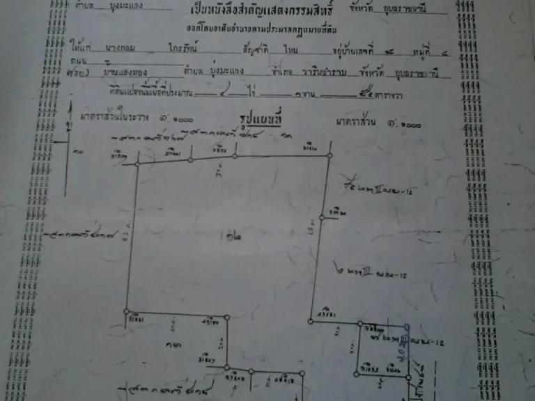 ขายด่วนๆที่ 4ไร่ 3งาน ห่างทางหลวง217 แค่100 เมตร