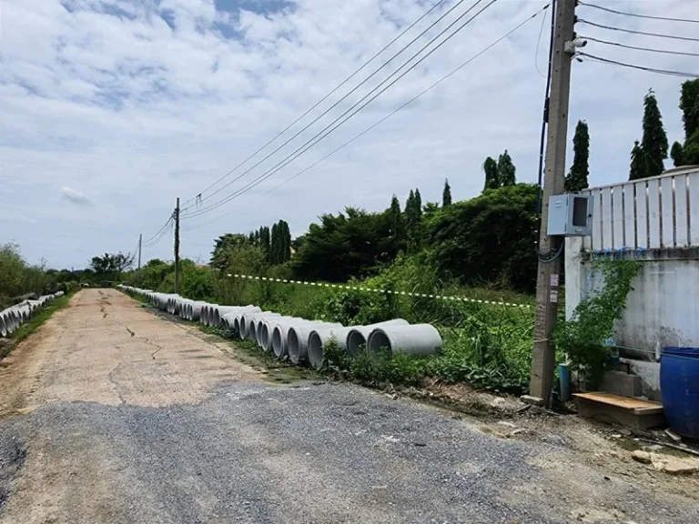 ขาย ที่ดินเปล่า ถมแล้ว 200 ตรว ถบางบัวทอง-สุพรรณบุรี สาย