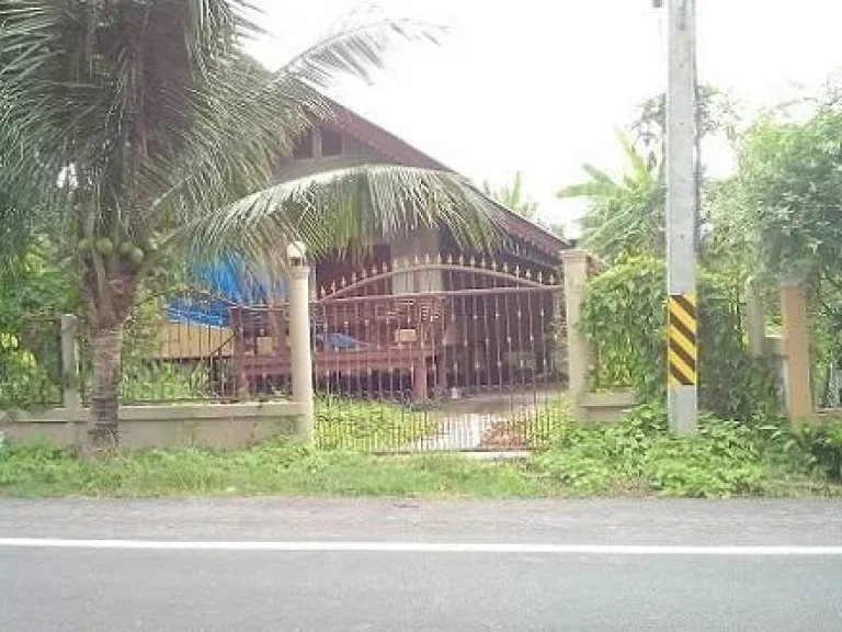 ที่ดินติดถนนลาดยางสายหลักถนนผลไม้พร้อมบ้านไม้