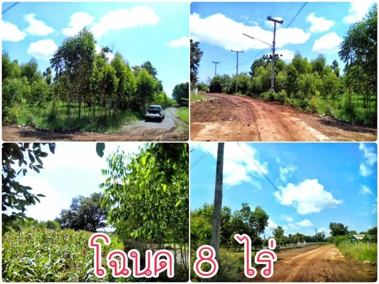 ขายที่ดินโฉนด 8 ไร่ ไร่ละ 120000 อหนองไผ่ ห่างตัวอำเภอเพียง 5 กม ที่สูงน้ำไม่ท่วม