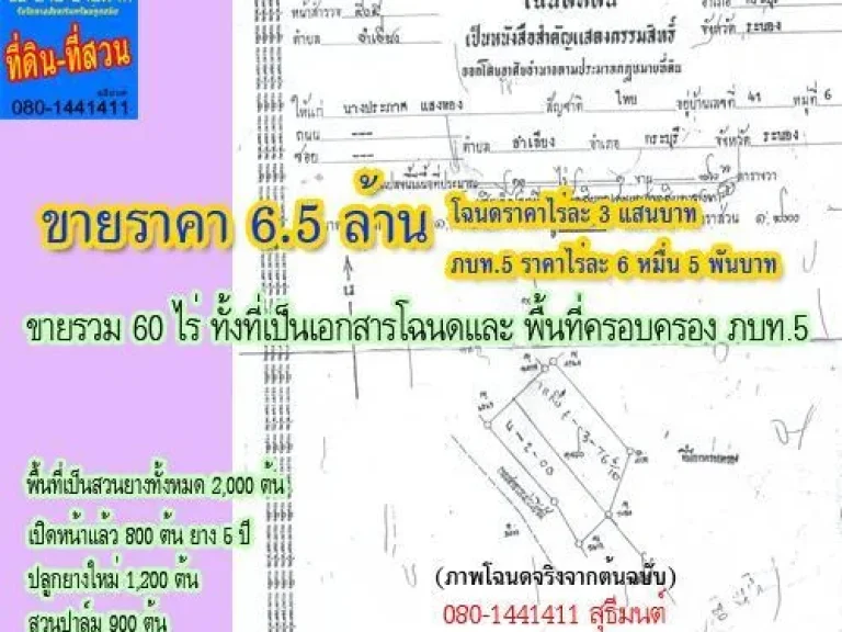 สวนยาง2พันต้น- ปาล์ม900 เอกสารโฉนด 60 ไร่ ขาย 65 ล้าน โทร080-1441411 สุธีมนต์