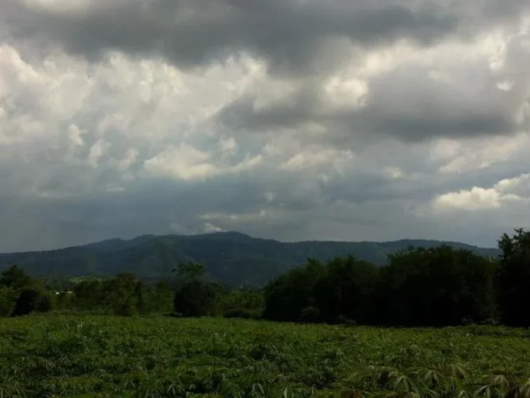 ขายที่ดิน 10 ไร่ เขาใหญ่ บ้านสระน้ำใส ติดถนนลาดยาง ด้านหลังติดคลองลำรางเล็ก วิวเทือกเขาใหญ่สวย ขายไร่ละ 19 ล้านบาท