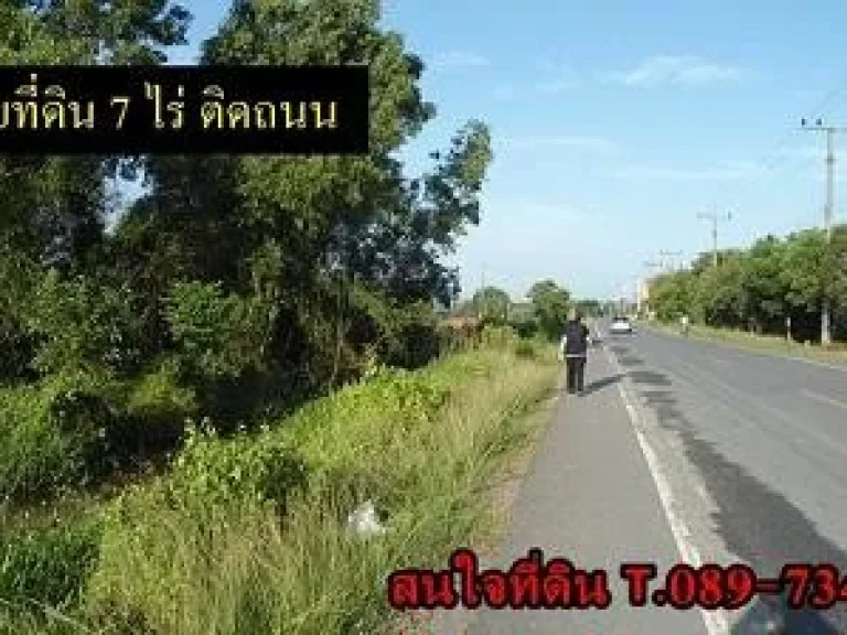 ขายที่ดิน ติดถนน 7 ไร่ ไปทางแยกธนดี ห่างจากไฟแดง 14 กิโล