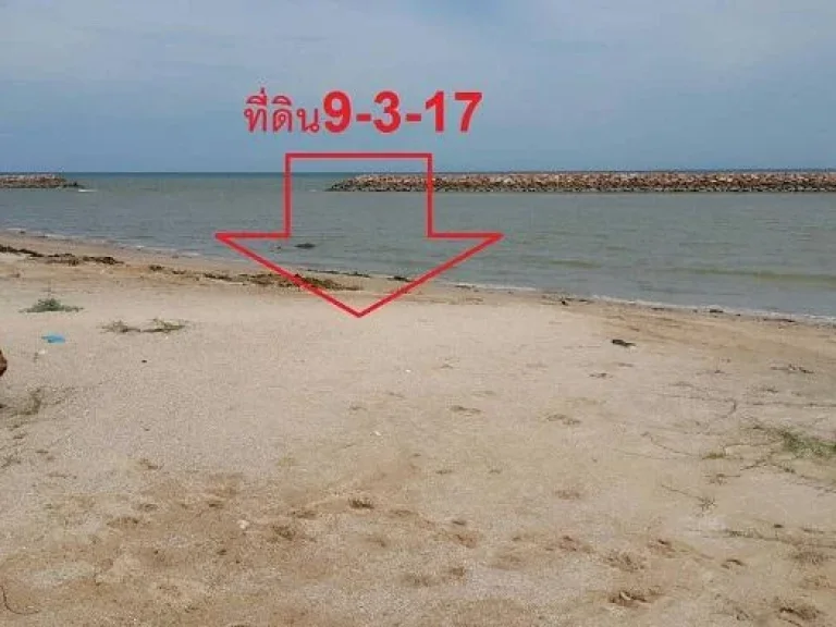 ที่ดินติดทะเล9ไร่3งาน17ตรวา หาดเจ้าสำราญ ใกล้ชะอำรอยัลบีชขายไร่ละ10ล้านบาท