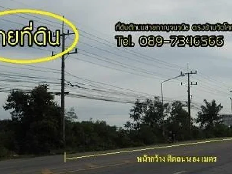 ขายที่ดินติดถนนกาญจนวนิช 80 เมตร ทำเลงาม 15 ไร่ ราคาถูก