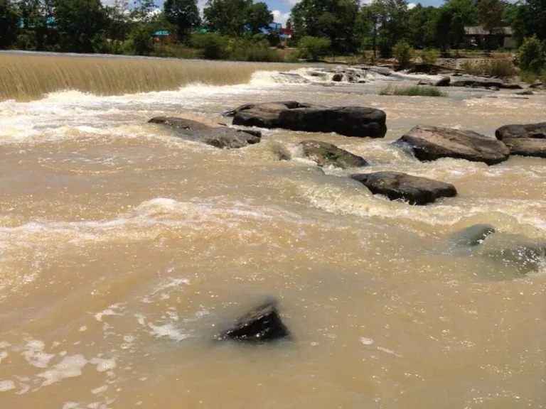 ขายที่ดินอุบล 31ไร่โฉนดหน้ากว้างติดน้ำ 390เมตรสวยมาก 6500000บ