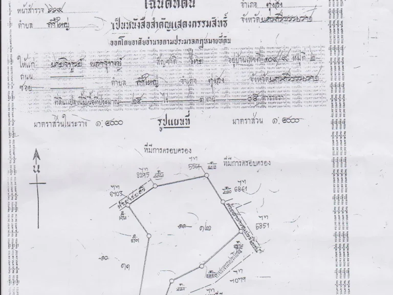 ขายสวนยางพารา 25 ไร่ 3 งาน 5 ตารางวา อยู่ใกล้มหาวิทยาลัยราชมงคลศรีวิชัยไสใหญ่ อทุ่งสง จนครศรีฯ