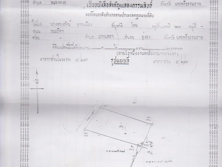 ขายสวนยางพารา 3-2-1-2-3 ทั้งหมดรวม 13 ไร่ โดยแบ่งเป็นล็อก